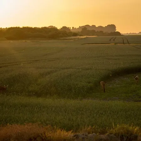 Traumlage-maasholm Apartmán Maasholm