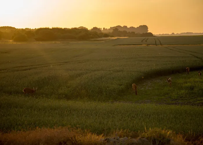 Traumlage-maasholm Appartement Maasholm