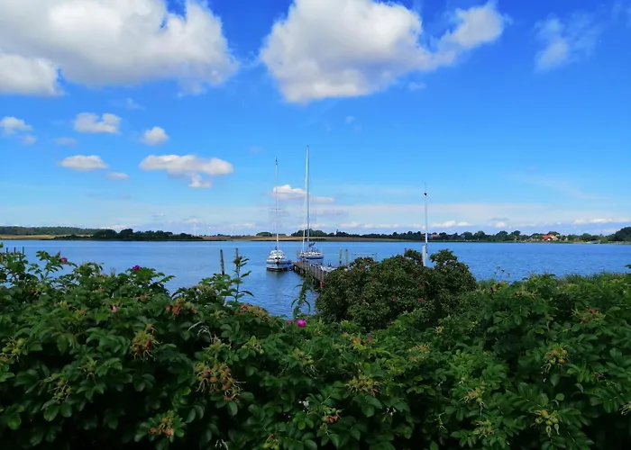 Traumlage-maasholm * Maasholm