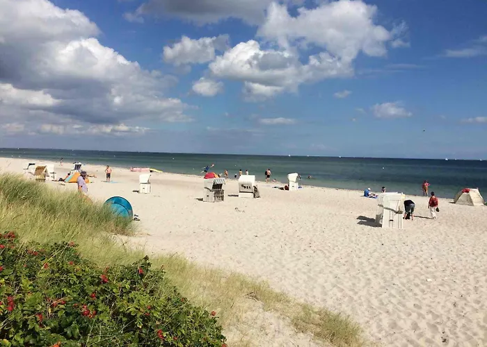 Traumlage-maasholm Maasholm