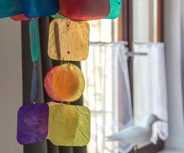 Traumlage-maasholm * Maasholm